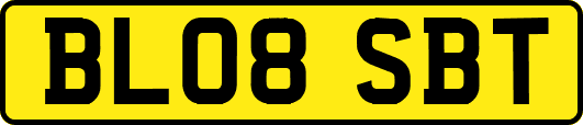 BL08SBT