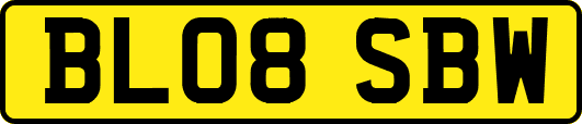 BL08SBW