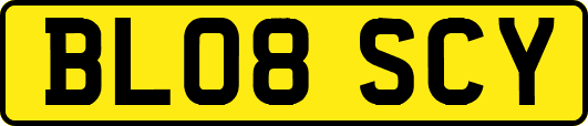 BL08SCY