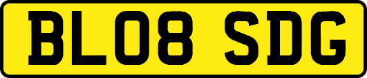 BL08SDG