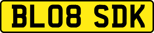 BL08SDK