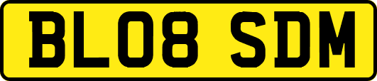 BL08SDM