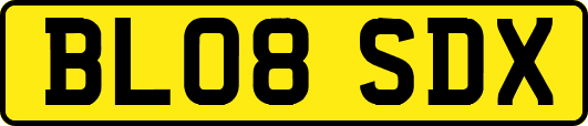 BL08SDX