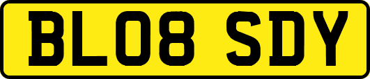 BL08SDY
