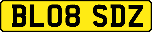 BL08SDZ