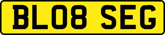 BL08SEG