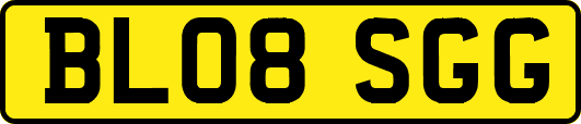 BL08SGG