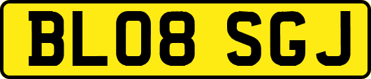 BL08SGJ