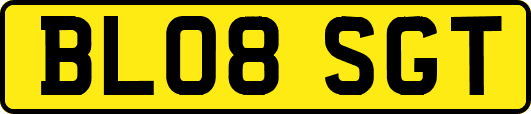 BL08SGT