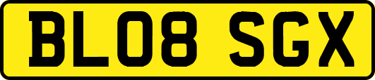 BL08SGX