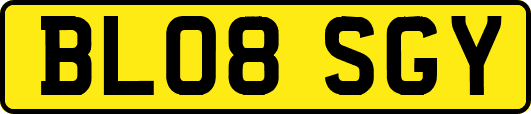 BL08SGY