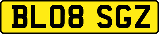 BL08SGZ