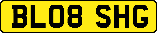 BL08SHG