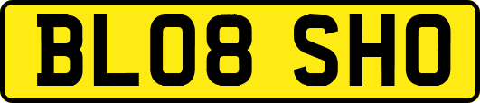 BL08SHO