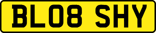 BL08SHY