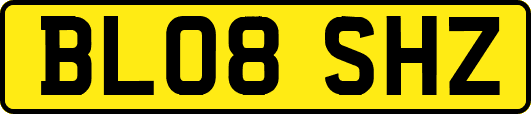 BL08SHZ