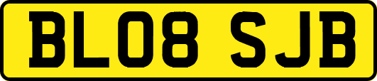 BL08SJB