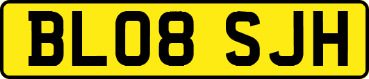 BL08SJH