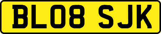 BL08SJK