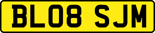 BL08SJM