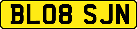 BL08SJN