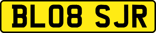 BL08SJR