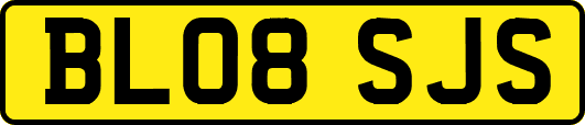 BL08SJS