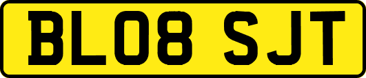 BL08SJT