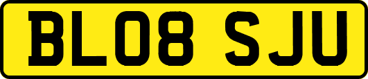 BL08SJU