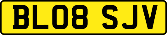 BL08SJV
