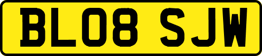 BL08SJW