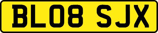 BL08SJX