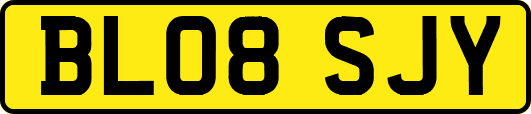 BL08SJY