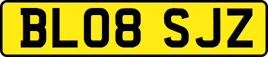 BL08SJZ