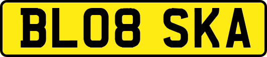 BL08SKA