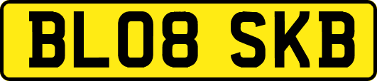 BL08SKB