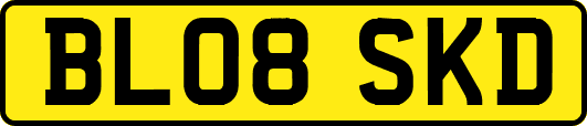 BL08SKD