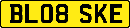 BL08SKE