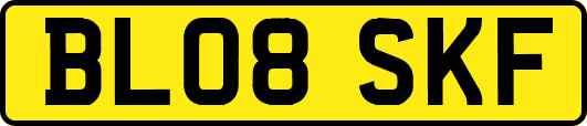 BL08SKF