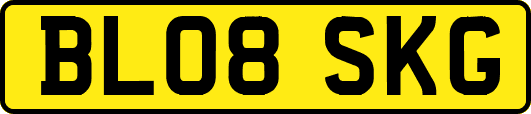 BL08SKG