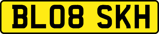 BL08SKH