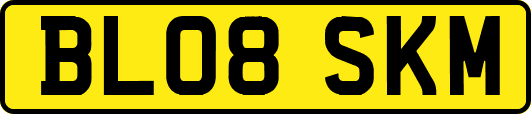 BL08SKM