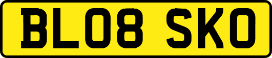 BL08SKO