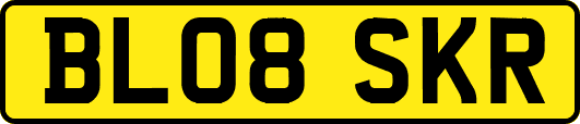 BL08SKR