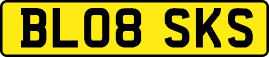 BL08SKS