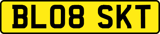 BL08SKT