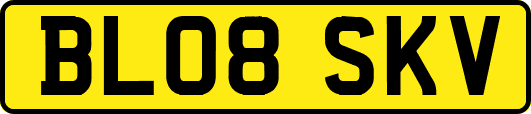 BL08SKV