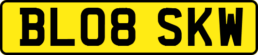 BL08SKW