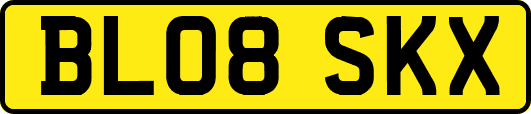 BL08SKX