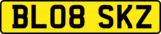 BL08SKZ